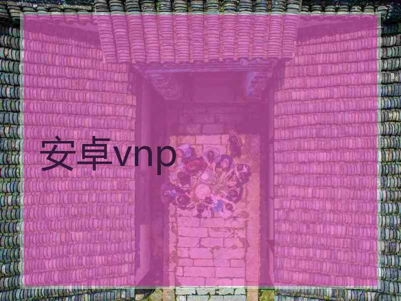 安卓vnp