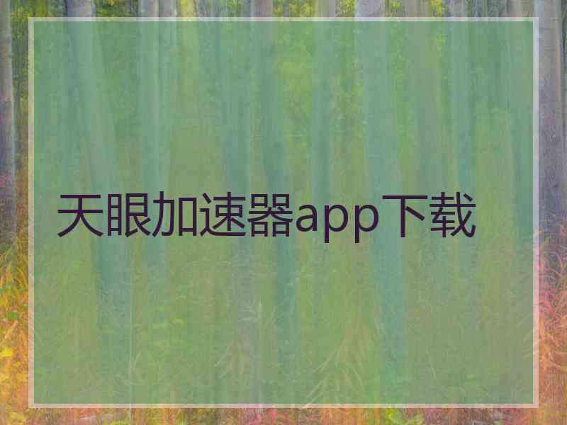 天眼加速器app下载