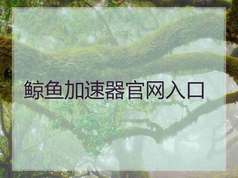 鲸鱼加速器官网入口