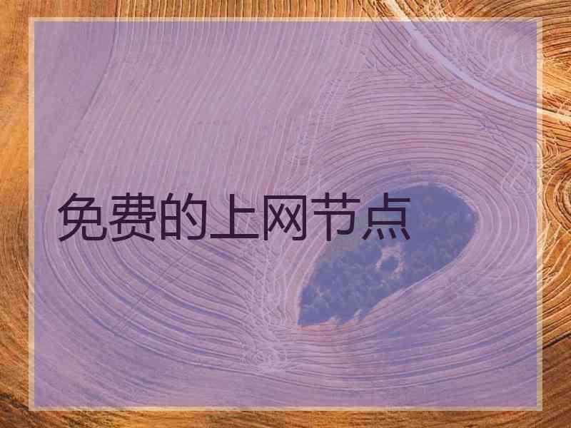 免费的上网节点