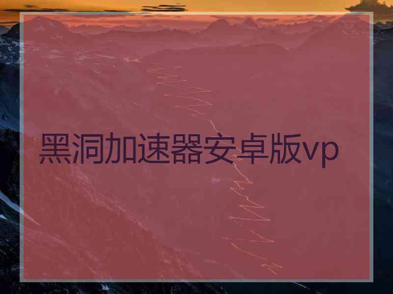 黑洞加速器安卓版vp