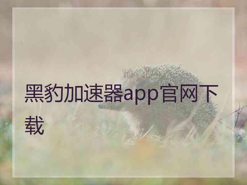 黑豹加速器app官网下载