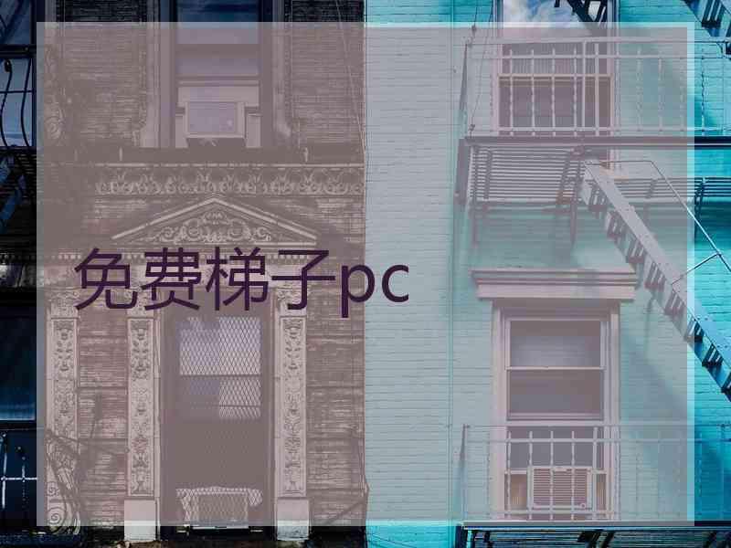 免费梯子pc