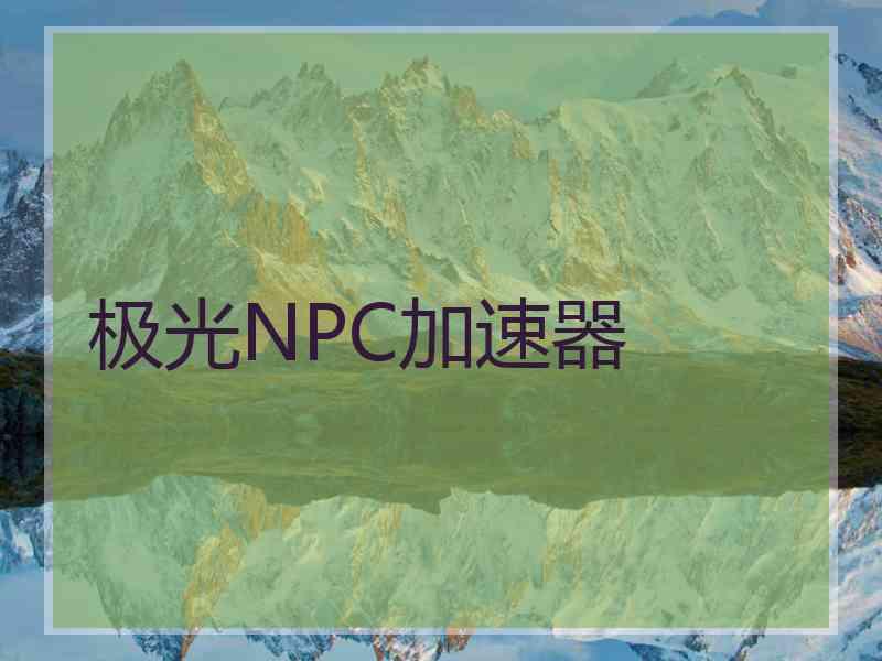 极光NPC加速器