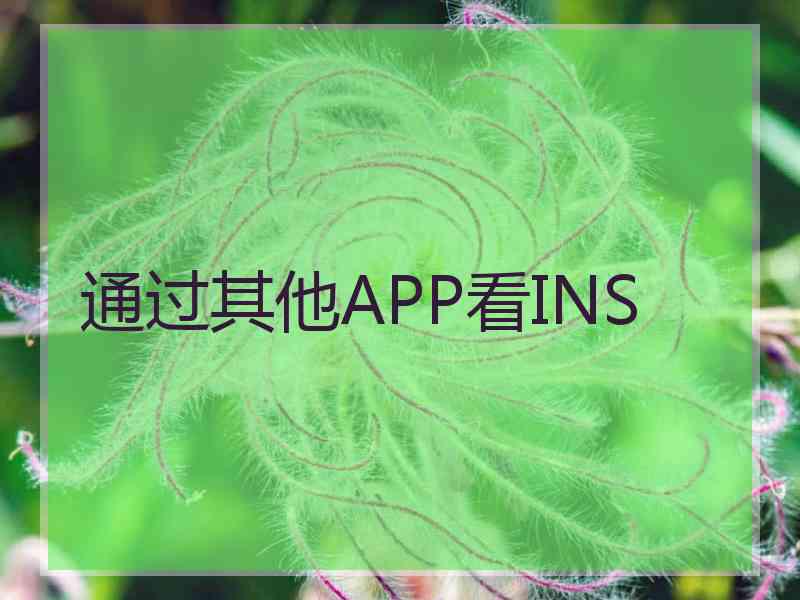 通过其他APP看INS