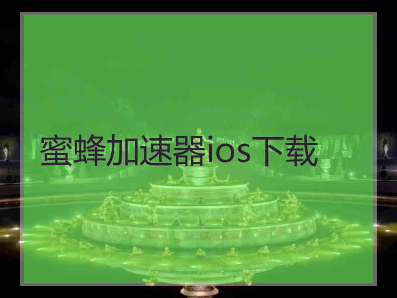 蜜蜂加速器ios下载