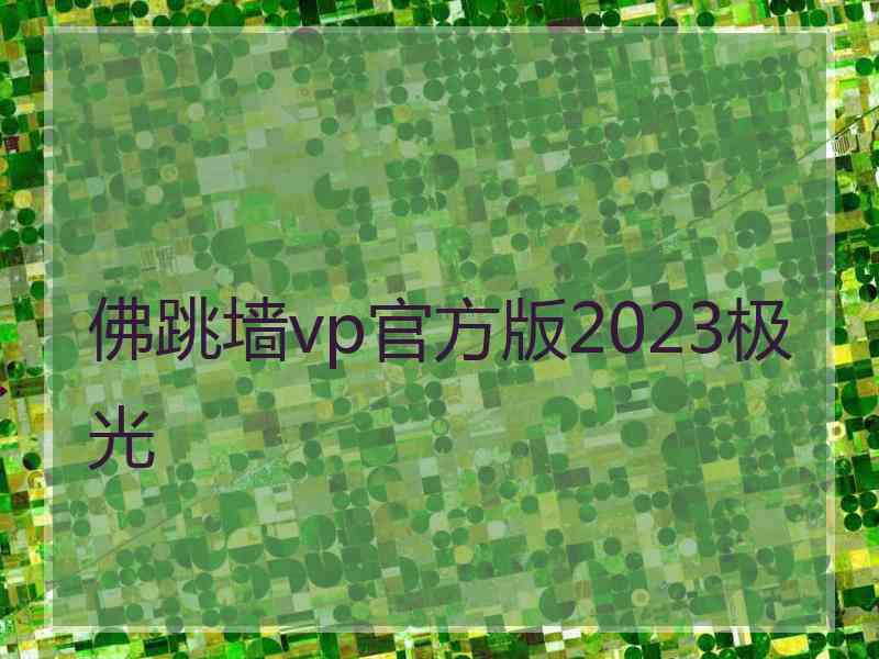 佛跳墙vp官方版2023极光