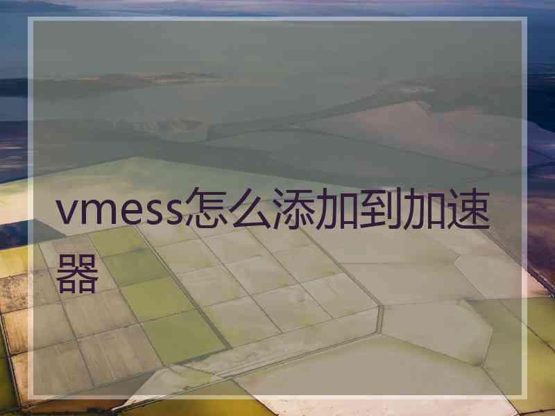 vmess怎么添加到加速器