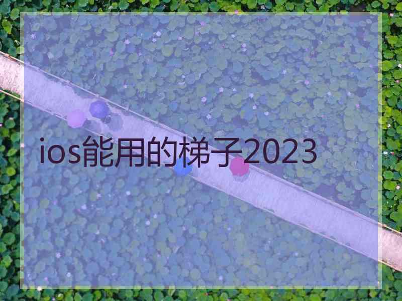 ios能用的梯子2023