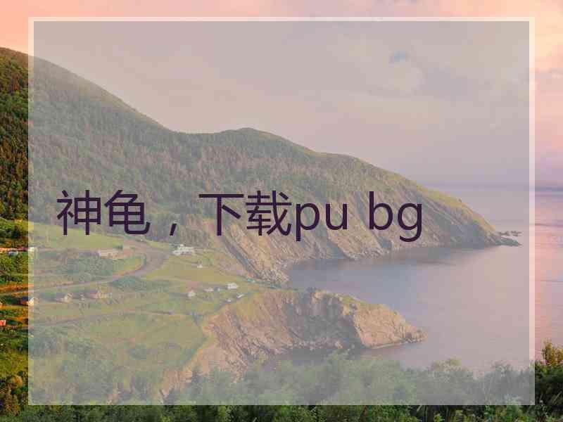 神龟，下载pu bg