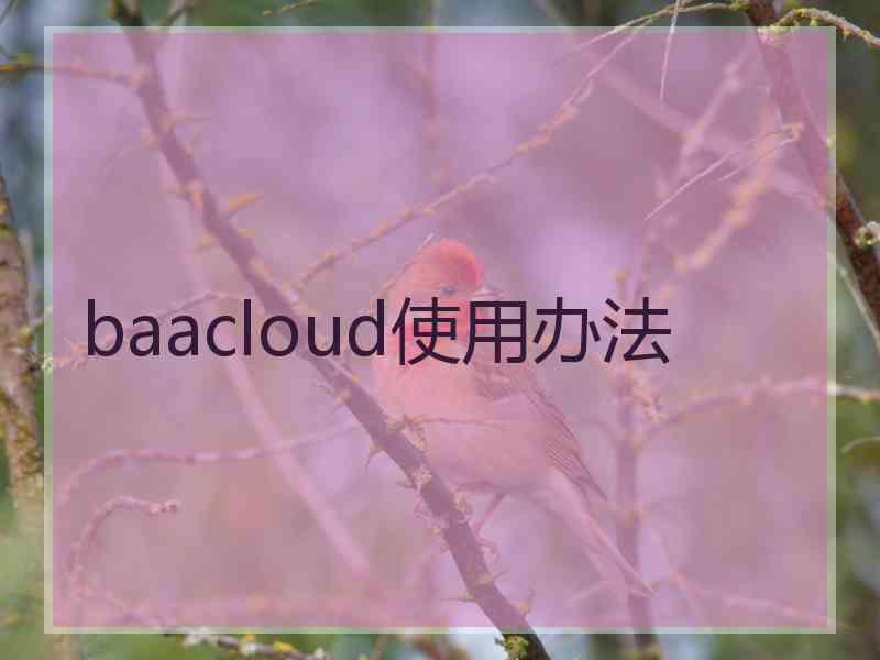 baacloud使用办法