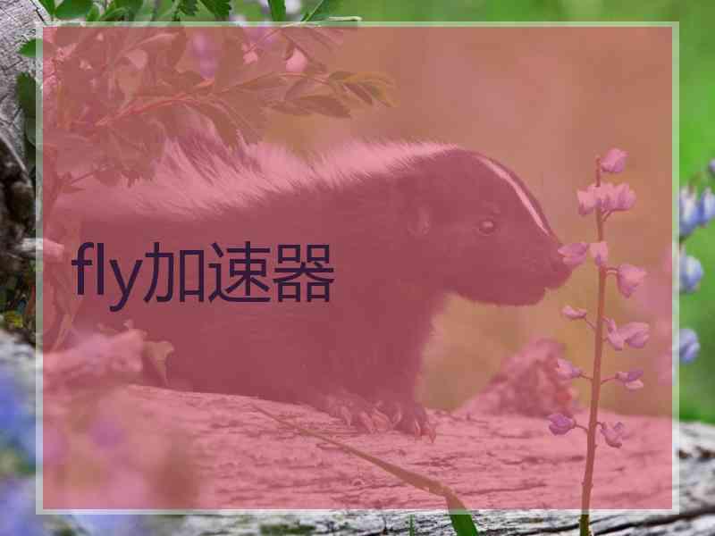 fly加速器