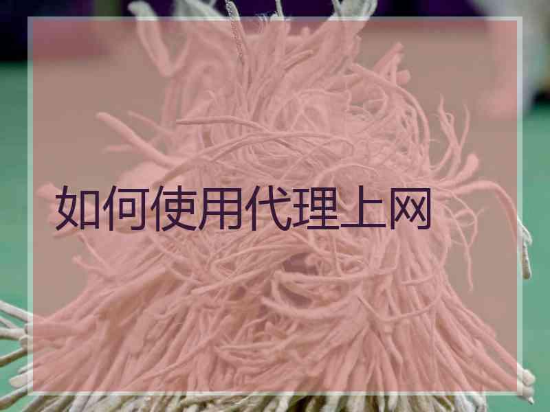 如何使用代理上网