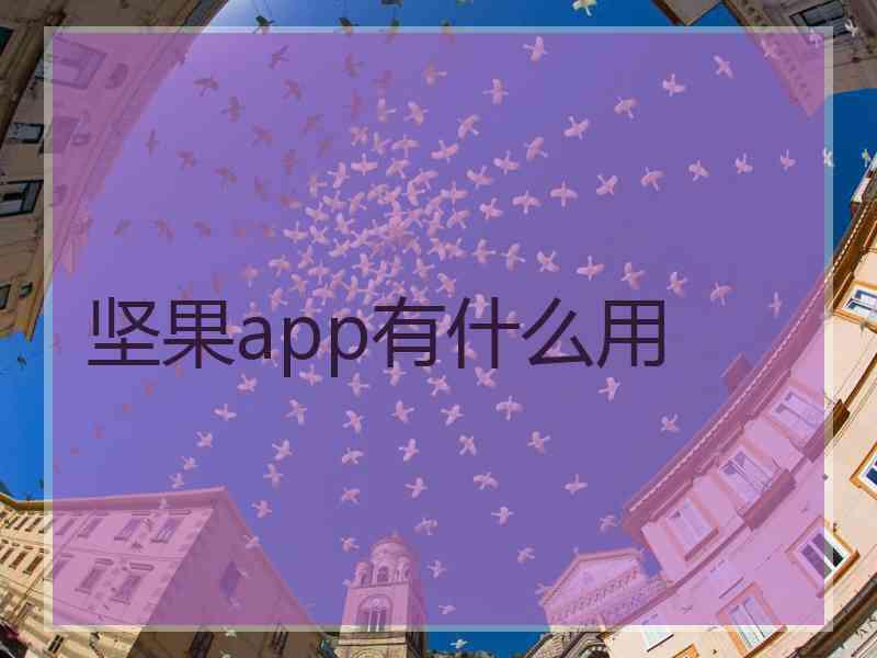 坚果app有什么用