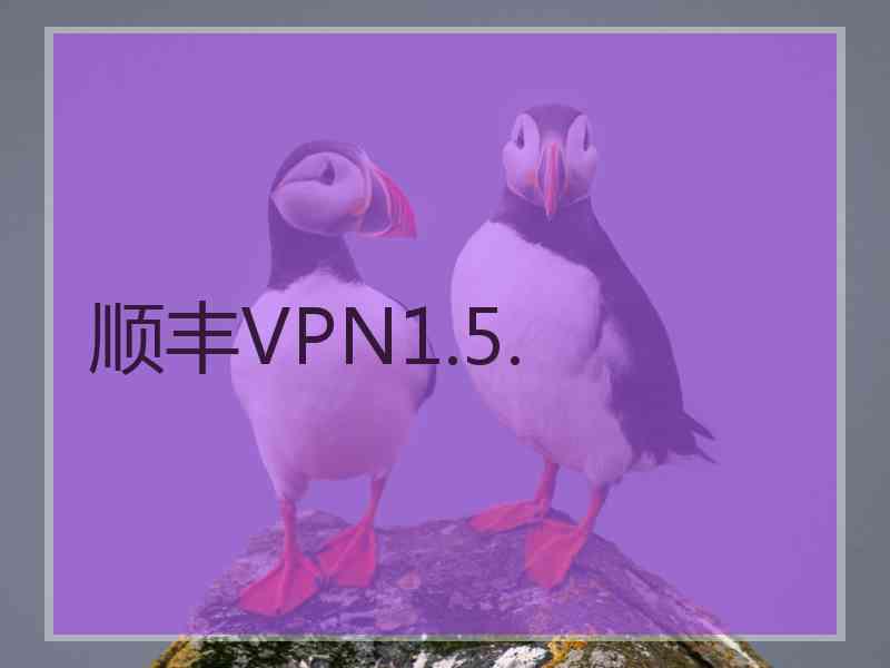 顺丰VPN1.5.