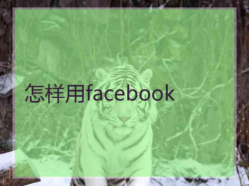 怎样用facebook