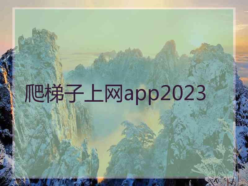 爬梯子上网app2023