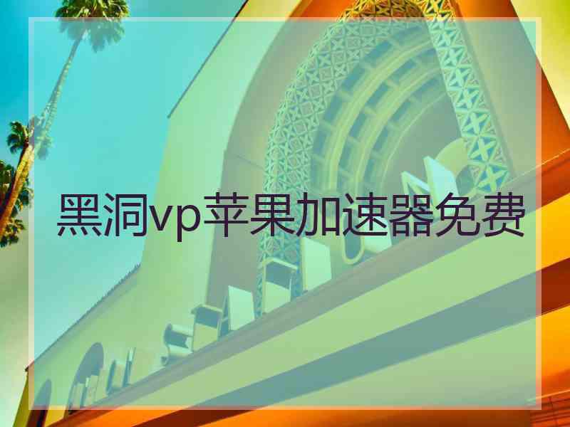 黑洞vp苹果加速器免费