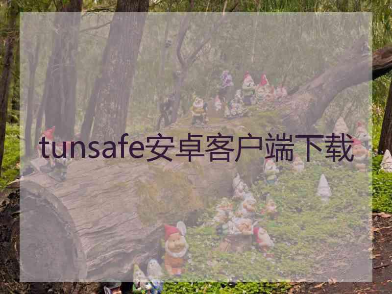 tunsafe安卓客户端下载